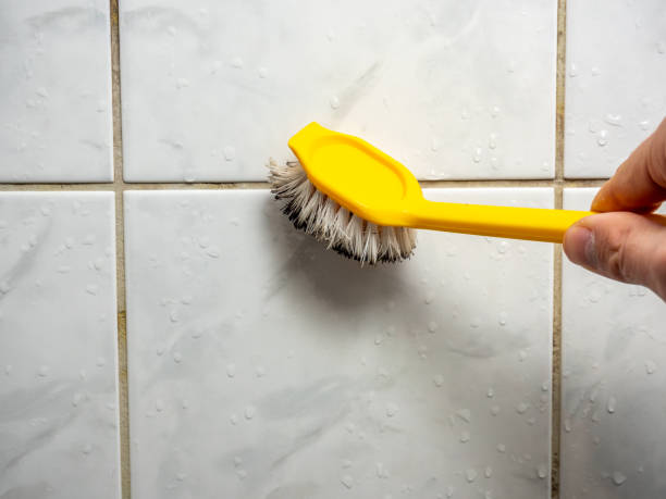 Best Mold Testing and Inspection Services in Wyoming, MN