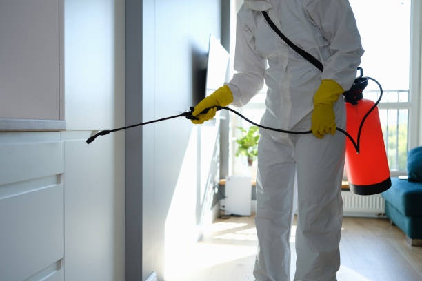 Best Industrial Mold Remediation in Wyoming, MN