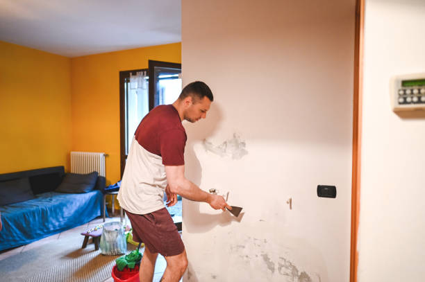 Best Emergency Mold Remediation in Wyoming, MN